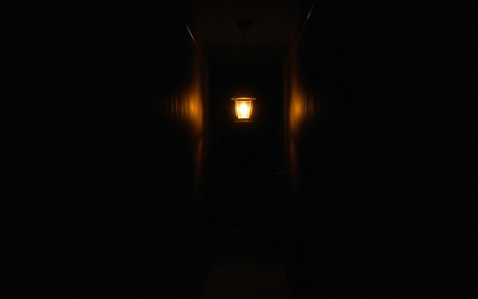 A single lantern in a dark hallway